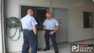 Tykke bjørnefyre skiftes til at blæse pik før de bliver analt i en trekant