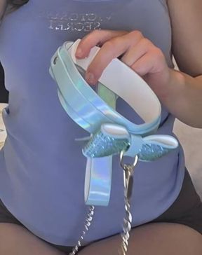 Interactive Puppy Play Training Clip 🐶