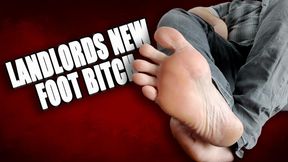 KingMarti: Landlords New Foot Bitch Massage & Suck Toes for Rent Relief
