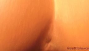 lily lane2