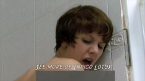 good clean fun with indigo indigo lotus and jack moore - may 06, 2026