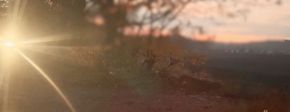 Poor lighting naked infront of passing cars