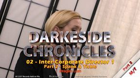 Darkeside Chronicles 02 - Inter-Corporate Director 1 - Part 2