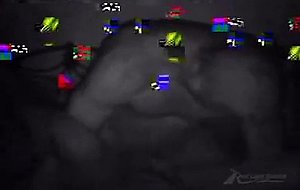 PARIS HILTON-one night in paris