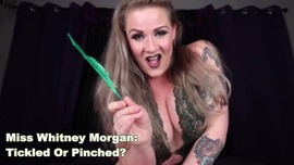 Miss Whitney Morgan: Tickled Or Pinched