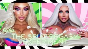 THE SPLIT ORGASM EXPERIMENT Calaverra & Exaltia