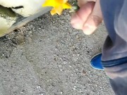 Pov handjob flower art