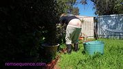 FREE PREVIEW! Springtime Buttcrack Gardening with Big Ass MILF Rem Sequence