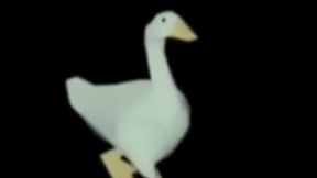 Pato bailando la cancion de fernanfloo