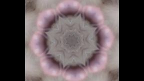 Cock Kaleidoscope