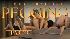 Dog Training Pegging Part 3