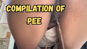 Compilation of pee + ONE FART