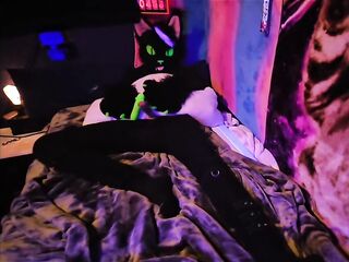 Argentum cumming paws free