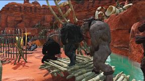 Dual Foray 1 3 DIMENSIONAL