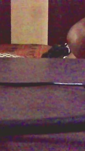 Desi Couple having sex in room   Clip 1