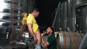 Men: Paddy & Manuel Get Sticky in the Cellar