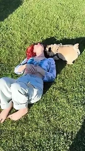 The_Dramma_Queen video