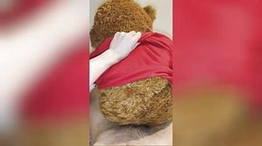 Very horny boy fucks his teddy bear up his furry ass while moaning