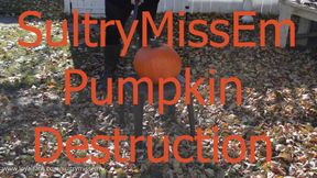 Pumpkin  destruction