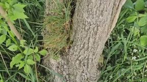 Outdoor Pee Piss Compilation