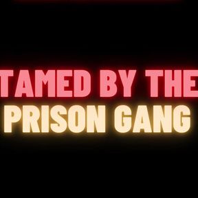 Prison Gang BDSM Slave Training Gangbang (M4M Gay Audio Story)