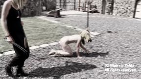 PONYGIRL washed with icy COLD WATER - Lezdom