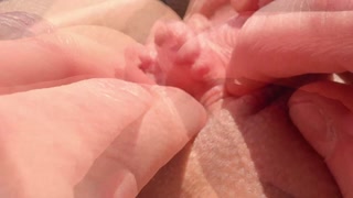 Enlarged Big Clit Closeup and Swollen in HD