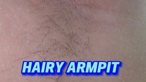 HAIRY ARMPIT CLOSE UP