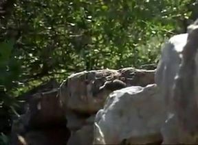 Big-Cock Military Blowjob