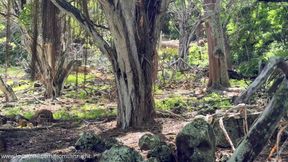 Striptease in the Jungle