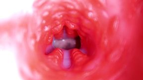 extreme close up of a big cock in a sloppy wet sweet hole!