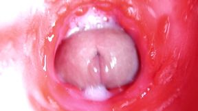 extreme close up of a big cock in a sloppy wet sweet hole!