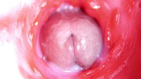 extreme close up of a big cock in a sloppy wet sweet hole!