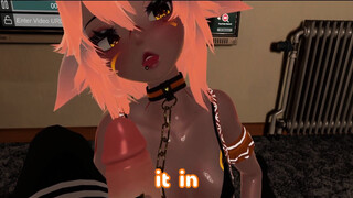 Katboi's late night snack