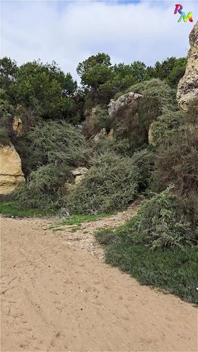 Winter beach in Portugal... had to slip away... almost got caught
