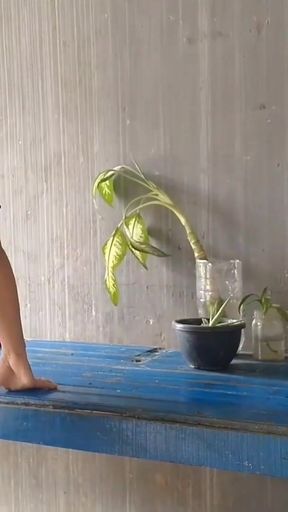 Memorable moment from &quot;I hired a maid to clean my house and fucked her&quot;