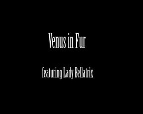 Venus in Furs