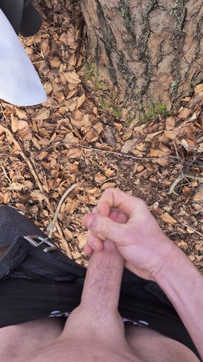 Cumshot in the forest