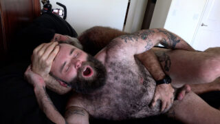 Avsugning, barbacka, hårig, pappa – björn amatör tatuerad amerikansk Will Angell analt knullad, stor kuk
