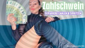 Zahlschwein - separiere zahlen und spritzen