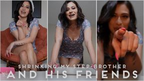 Shrinking My Step-Brother And His Friends