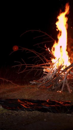 Haunted Halloween