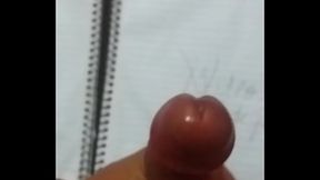 OV&iacute_deo de verifica&ccedil_&atilde_o