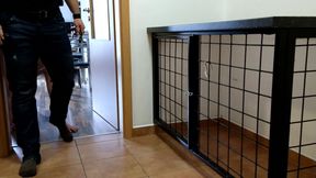 Breakfast in cage