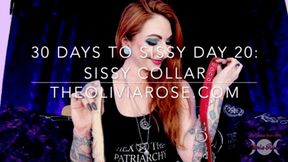 30 Days To Sissy Day 20: Sissy Collar (MP4 SD)