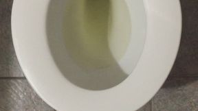 PURE GOLD PEE