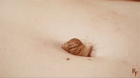 Sexy navels of Klavdia and Agata - Long play with nails and snails on belly buttons (FULL HD MP4)