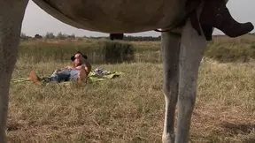 Stephanie Sierra gets fucked hard on the farm