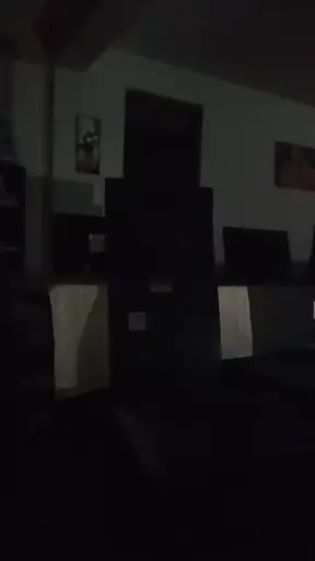 Rapidin in empty apartment