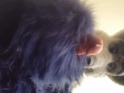 Furry Pawing Over You
